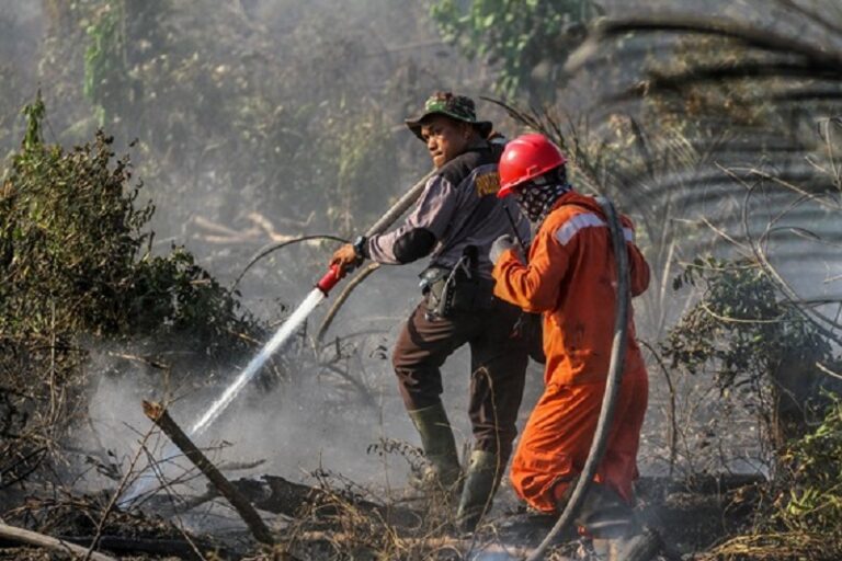 Hadapi Puncak Musim Kemarau Perlu Mitigasi Karhutla di Sumsel