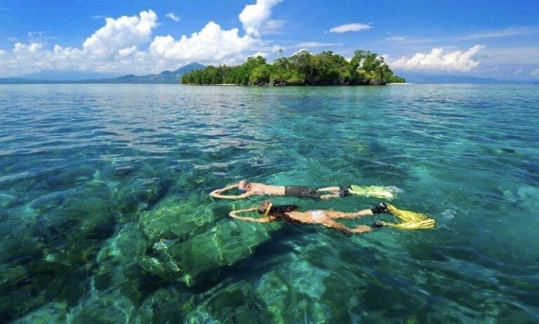 Agoda Berkolaborasi Dengan WWF Dukung Restorasi Habitat Laut
