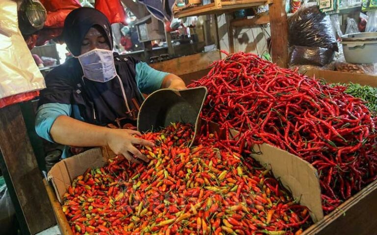 Cabai Rawit di DKI Tembus Sampai Rp120 Ribu Per Kilogram